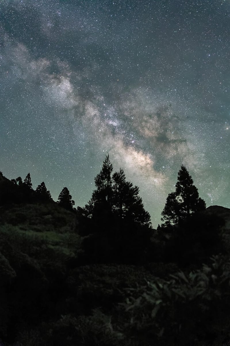 Eco-friendly footwear under the night sky